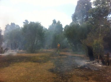 Mopping up after Glover Road Fire