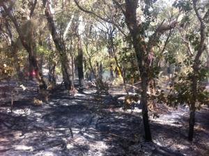 Blacking out at Marrinup Fire