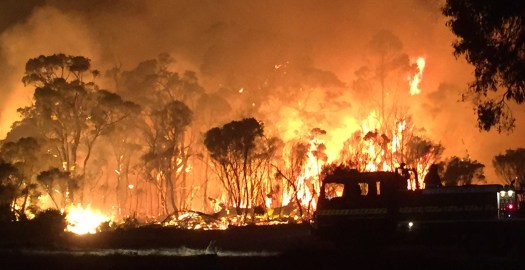 Credit: D. Kirsop, Artist and Volunteer Firey