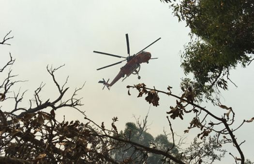 Going in for the Drop