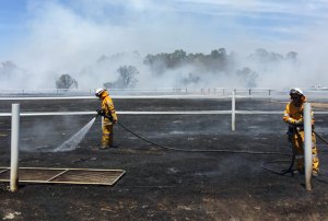 Bruce and Carlo Blacking Out