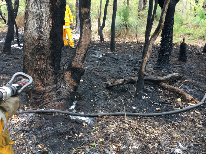 Breathtaking Brigades Stretched 'babysitting' Pole-top Fires For Western Power Picture Photography Breathtaking Brigades Stretched 'babysitting' Pole-top Fires For Western Power Picture Photography
