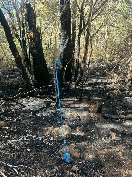 Summer Brace Fire – Yallingup Rural Volunteer Bush Fire Brigade